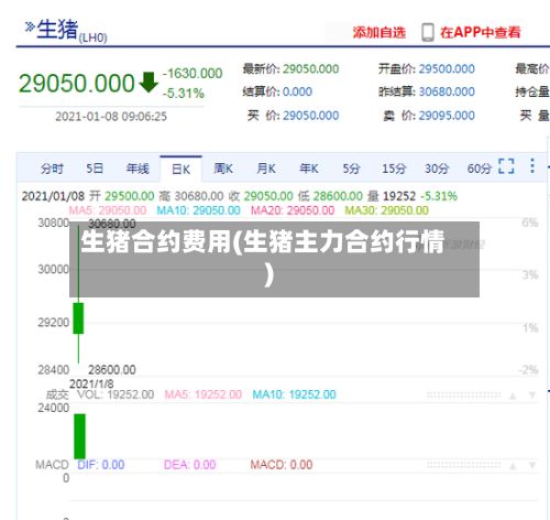 生猪合约费用(生猪主力合约行情)-第2张图片