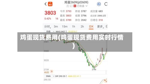 鸡蛋现货费用(鸡蛋现货费用实时行情)-第2张图片
