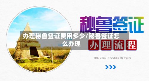 办理秘鲁签证费用多少/秘鲁签证怎么办理-第3张图片