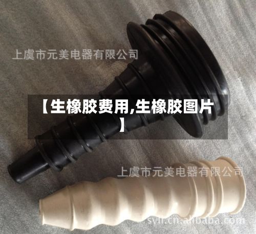 【生橡胶费用,生橡胶图片】