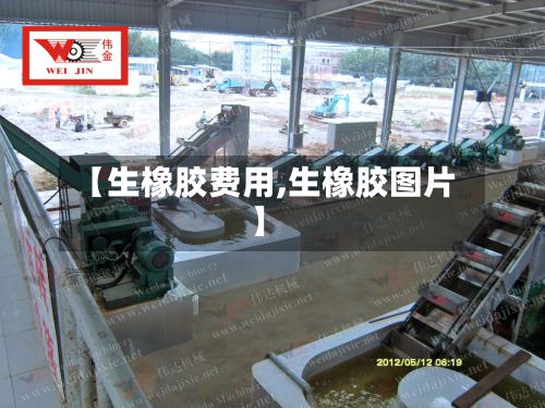 【生橡胶费用,生橡胶图片】-第3张图片