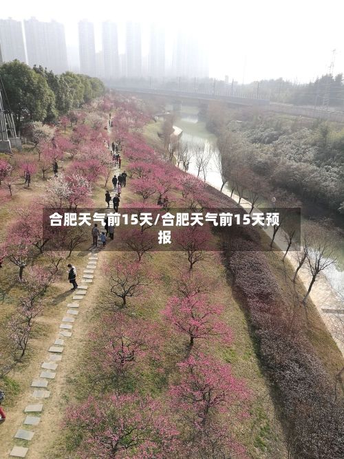 合肥天气前15天/合肥天气前15天预报