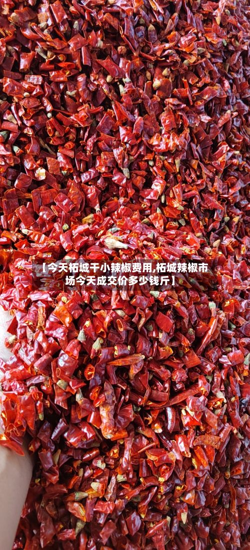 【今天柘城干小辣椒费用,柘城辣椒市场今天成交价多少钱斤】