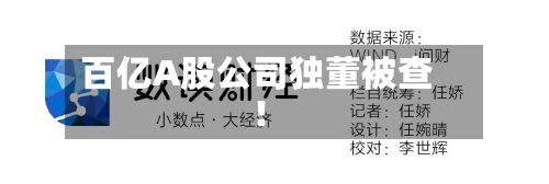 百亿A股公司独董被查！