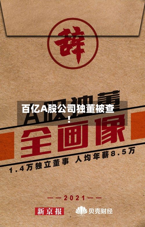 百亿A股公司独董被查!-第2张图片