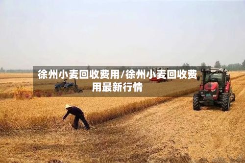 徐州小麦回收费用/徐州小麦回收费用最新行情