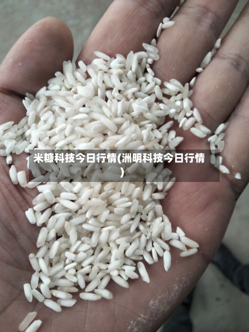 米糠科技今日行情(洲明科技今日行情)
