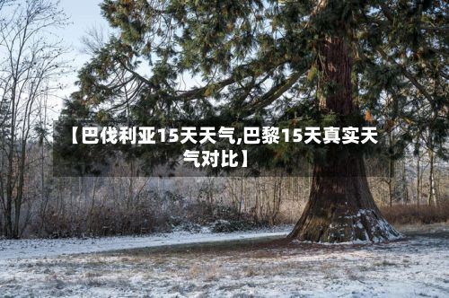 【巴伐利亚15天天气,巴黎15天真实天气对比】