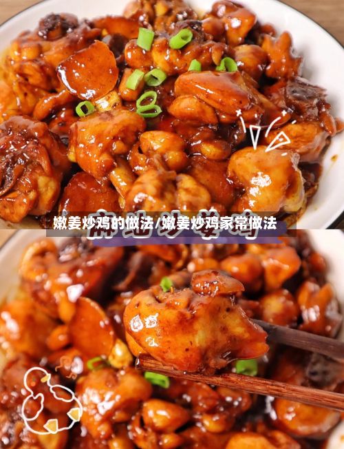 嫩姜炒鸡的做法/嫩姜炒鸡家常做法