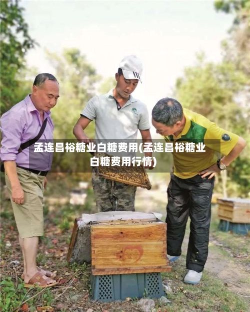 孟连昌裕糖业白糖费用(孟连昌裕糖业白糖费用行情)