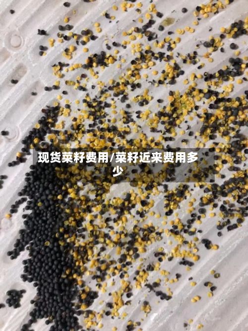 现货菜籽费用/菜籽近来费用多少