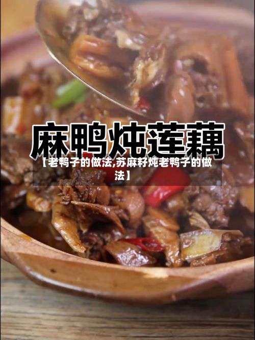 【老鸭子的做法,苏麻籽炖老鸭子的做法】