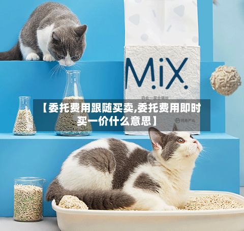 【委托费用跟随买卖,委托费用即时买一价什么意思】-第3张图片