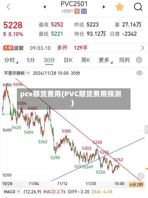 pcv期货费用(PVC期货费用预测)