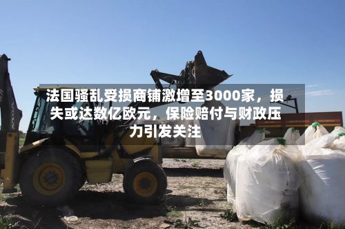 法国骚乱受损商铺激增至3000家，损失或达数亿欧元	，保险赔付与财政压力引发关注-第2张图片