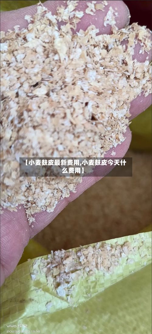 【小麦麸皮最新费用,小麦麸皮今天什么费用】-第2张图片