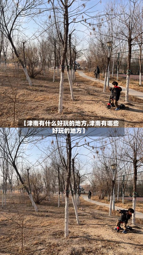 【津南有什么好玩的地方,津南有哪些好玩的地方】-第2张图片