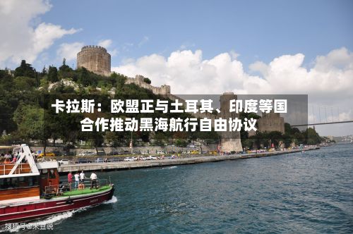卡拉斯：欧盟正与土耳其、印度等国合作推动黑海航行自由协议-第3张图片