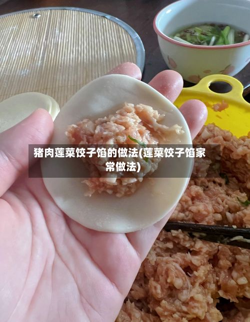 猪肉莲菜饺子馅的做法(莲菜饺子馅家常做法)