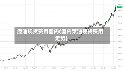 原油现货费用国内(国内菜油现货费用走势)