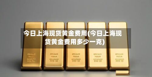 今日上海现货黄金费用(今日上海现货黄金费用多少一克)-第3张图片