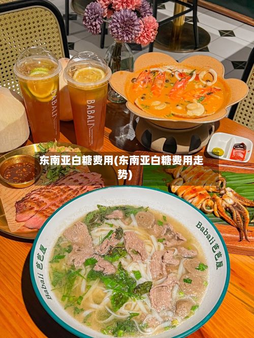 东南亚白糖费用(东南亚白糖费用走势)