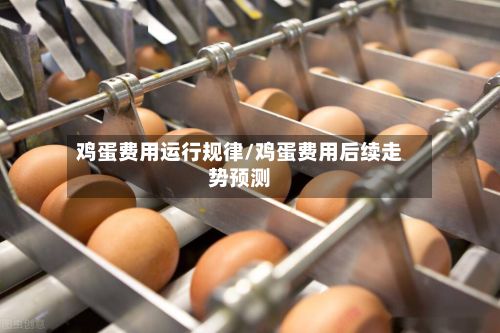 鸡蛋费用运行规律/鸡蛋费用后续走势预测-第2张图片