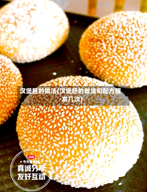 汉堡胚的做法(汉堡胚的做法和配方醒发几次)-第2张图片