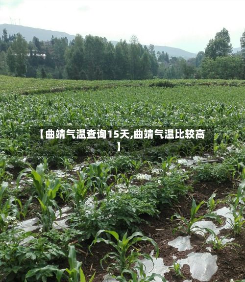 【曲靖气温查询15天,曲靖气温比较高】-第3张图片