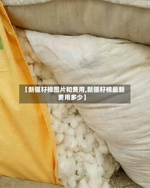 【新疆籽棉图片和费用,新疆籽棉最新费用多少】-第2张图片