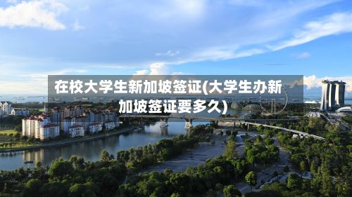 在校大学生新加坡签证(大学生办新加坡签证要多久)