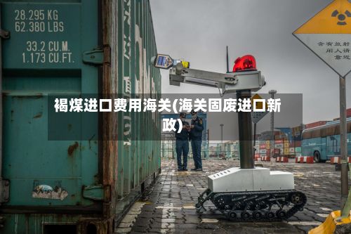 褐煤进口费用海关(海关固废进口新政)-第3张图片