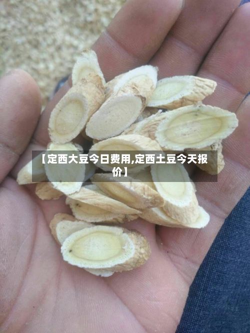 【定西大豆今日费用,定西土豆今天报价】-第2张图片
