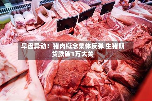 早盘异动!猪肉概念集体反弹 生猪期货跌破1万大关-第1张图片