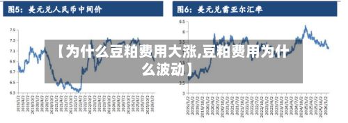 【为什么豆粕费用大涨,豆粕费用为什么波动】