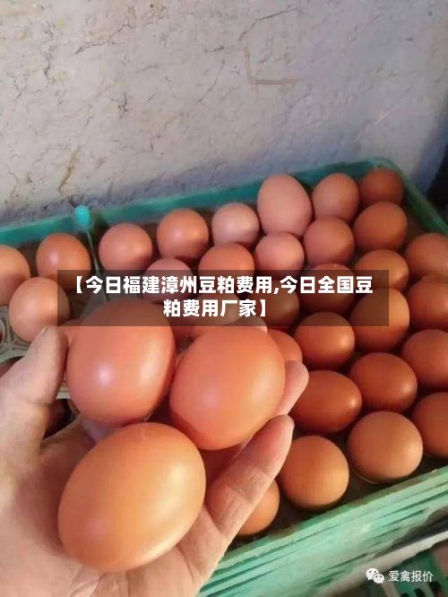 【今日福建漳州豆粕费用,今日全国豆粕费用厂家】