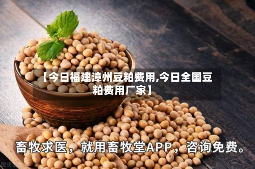 【今日福建漳州豆粕费用,今日全国豆粕费用厂家】-第2张图片