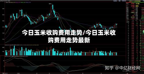 今日玉米收购费用走势/今日玉米收购费用走势最新