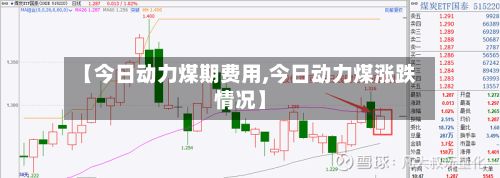 【今日动力煤期费用,今日动力煤涨跌情况】-第2张图片