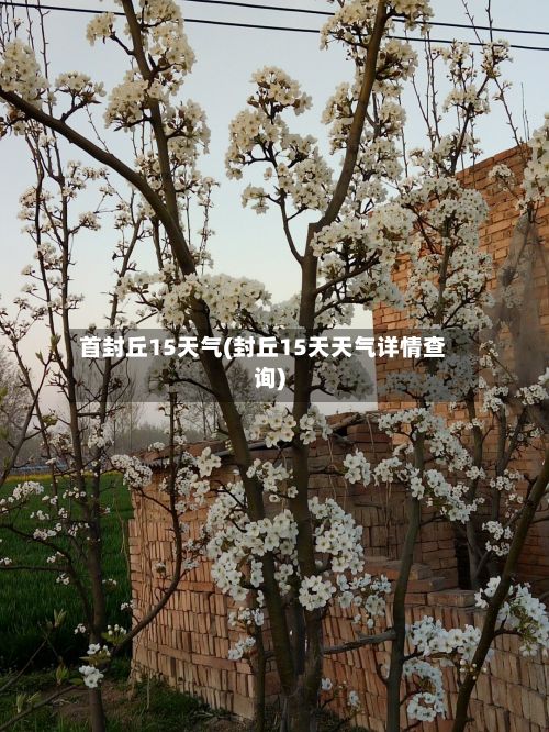 首封丘15天气(封丘15天天气详情查询)-第2张图片