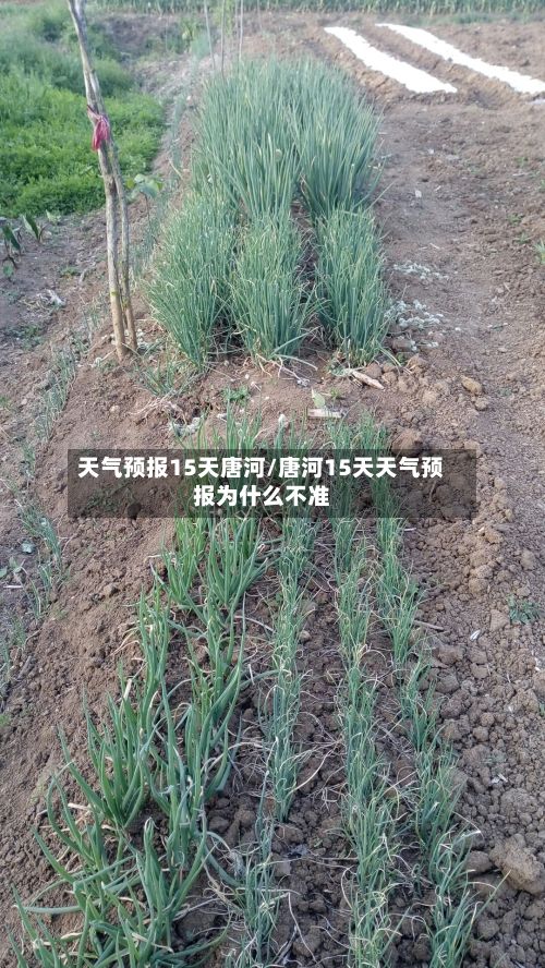 天气预报15天唐河/唐河15天天气预报为什么不准-第2张图片