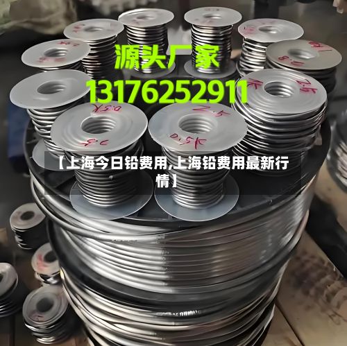 【上海今日铅费用,上海铅费用最新行情】-第3张图片