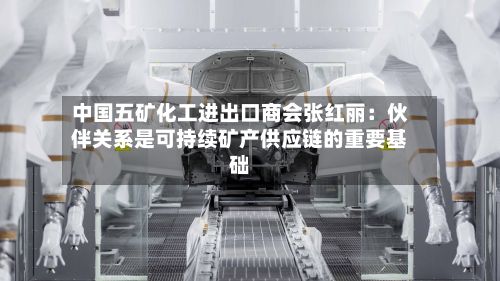 中国五矿化工进出口商会张红丽：伙伴关系是可持续矿产供应链的重要基础-第2张图片