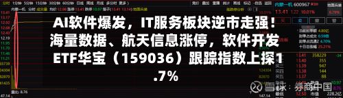 AI软件爆发，IT服务板块逆市走强！海量数据、航天信息涨停，软件开发ETF华宝（159036）跟踪指数上探1.7%