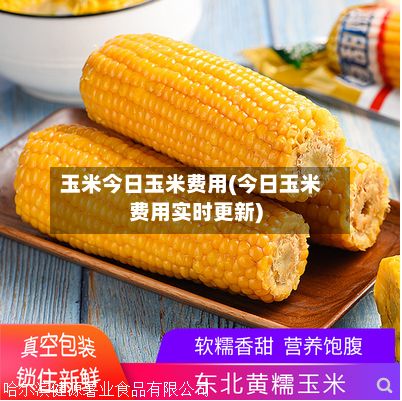 玉米今日玉米费用(今日玉米费用实时更新)
