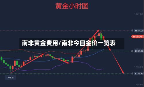 南非黄金费用/南非今日金价一览表