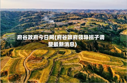 府谷政府今日网(府谷政府领导班子调整最新消息)