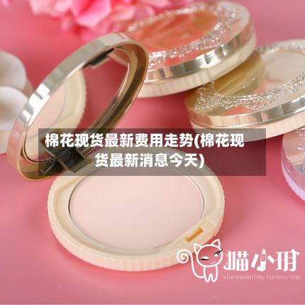棉花现货最新费用走势(棉花现货最新消息今天)-第2张图片