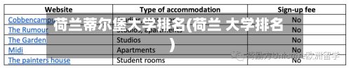 荷兰蒂尔堡大学排名(荷兰 大学排名)