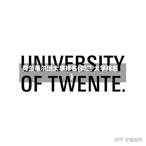 荷兰蒂尔堡大学排名(荷兰 大学排名)-第2张图片